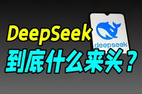 国内最牛AI巨头，竟然是个炒股的？（DeepSeek）视频封面