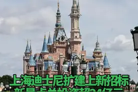 #上海迪士尼扩建上新招标 ，新景点总投资超24亿元，毗邻“疯狂动物城”  #迪士尼  #上海迪士尼  #招标  #疯狂动物城视频封面
