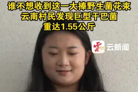 #有一种叫云南的生活 #美好生活在云南 #七彩云南样样好 云南村民发现巨型干巴菌重达1.55公斤视频封面