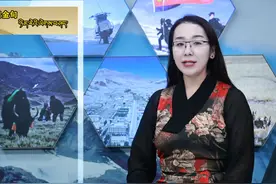 习近平金句（藏语） #热点 #每天学习一点点共同涨知识 #政治常识视频封面