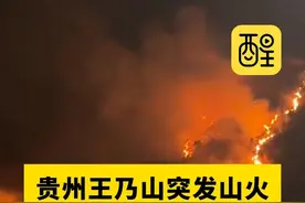 贵州王乃山突发山火燃烧猛烈几公里外可见火线 （编辑：锦玥）#贵州dou知道 #火灾现场 #注意安全 #热点新闻事件 #老百姓关心的话题 贵州黔南州王乃山发生山火视频封面