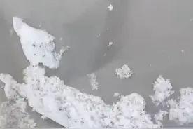 4月的城口下雪了！你在外面露着腰，我在城口裹着貂。#重庆城口 #下雪 #热点视频封面