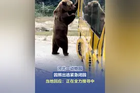 【熊出没！河北一动物园因熊出逃紧急闭园】 4月3日，有网友发帖称，河北邯郸佛山野生动物园有熊出逃。3日上午，村委会及镇政府已派出人员搜寻，但截至发稿前，出逃的熊仍未找到。工作人员表示，目前不清楚这头熊大致的逃跑范围和方向，建议游客及市民尽量避免靠近佛山动物园及其周边区域。（九派新闻）#河北一动物园因熊出逃紧急闭园视频封面