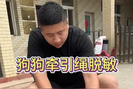 狗狗带绳子不走，如何做脱敏训练。北京训犬 #狗狗 #新手养狗 #北京训犬 #北京宠物训练 #北京训犬学校视频封面