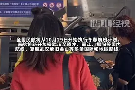 全国民航大换季  11月4日南航复航武汉至旧金山直飞航线（李上 王紫嫣）视频封面