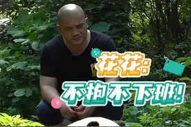 花花：“不抱不下班！”，谭崩了组合又来了！ #大熊猫和花 #来这吸熊猫 #熊猫界顶流 #萌到爆炸了💥视频封面
