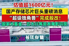 估值超1600亿元！国产存储芯片巨头重磅消息，“超级独角兽”完成股改！国家大基金、五大行等资本身影闪现 #芯片  #独角兽  #股市  #长江存储