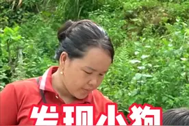 下山买材料，意外发现一只小狗，直接选择领回家喂养 #农村生活视频封面