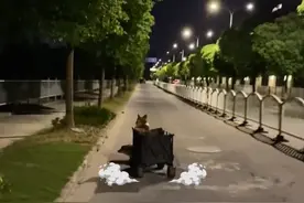 柯基上演了一出“硬核刹车”~~~@DOU+小助手 视频封面