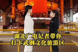 湖北广电记者带你打卡武钢文化旅游区 #武钢集团 #中国宝武视频封面