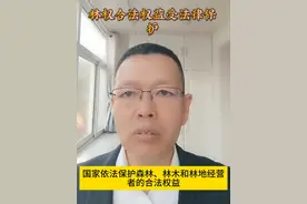 林权合法权益受法律保护。 #行政诉讼 #行政赔偿 #征收补偿视频封面