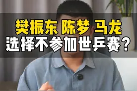 樊振东、陈梦、马龙选择不参加世乒赛？ 究竟是什么原因呢？ #樊振东   #陈梦   #2025多哈世乒赛   #乒乓球