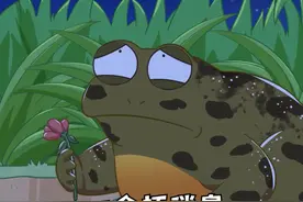 青蛙中的超级单身汉是怎样脱单的？ #轻漫计划 #冷知识 #动物世界视频封面