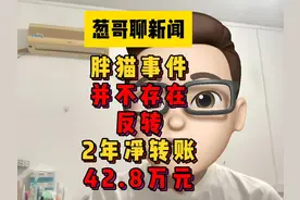 胖猫事件并不存在任何反转，2年时间胖猫向谭竹净转账42.8万视频封面