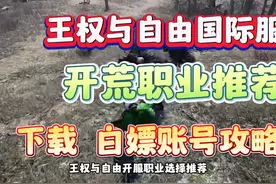 王权与自由国际服开服职业选择推荐，游戏预约下载账号白嫖攻略。视频封面