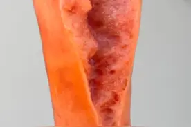 就这个最脏,最好吃了.... 视频封面