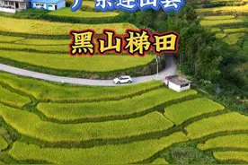 国庆假期就来黑山梯田吧！这里完全免费，开车几百公里看看又何妨 我一个种地的也被梯田不一样的风景所吸引#梯田美景 #旅行推荐官 #抖音带你看世界视频封面