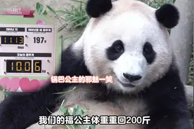 好事成双！双胞胎妹妹胎满月~锅巴公主体重重回200斤啦视频封面