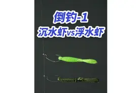 倒吊钓组-1，沉水虾浮水虾不同挂法泳姿测试#路亚饵 #路亚教学视频封面