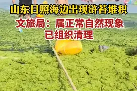 纵览热点｜山东日照海边出现浒苔堆积，文旅局：属正常自然现象，已组织清理（记者朱荣琛 郭明明 制作/张恩博）