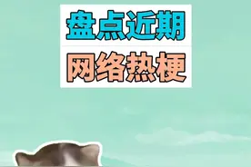 盘点近期网络热梗：德语小猫、踩奶猫、我要吃饭 #德语小猫 #踩奶猫 #有理说不清猫 #猫meme #梗视频封面