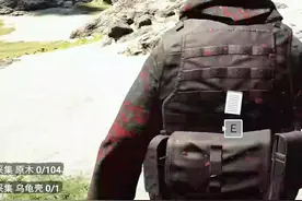 忘本0.o   @凯文 #steam游戏   #游戏画面请勿当真 #森林之子视频封面