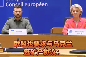 欧盟也要求与乌克兰签矿产协议：和我们签不吃亏，双赢 视频封面