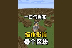 补档！当所有的区块都被同步？一口气看完！ #我的世界