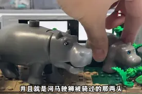 《乐高建造挑战》之动物园啊 #乐高 #万物皆可乐高积木视频封面