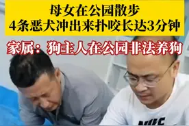 #母女在公园散步被4条恶犬扑咬3分钟 ，伤者家属：狗主人在公园非法养狗，目前4条猎犬被转移，不知所踪！目前警方已介入调查。视频封面