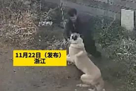 走道时突然扑出一条大狗，男子徒手捏住狗嘴制服视频封面