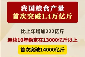 我国粮食产量首次突破1.4万亿斤 #农业强国#粮食#农业#三农视频封面