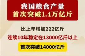 我国粮食产量首次突破1.4万亿斤 #农业强国#粮食#农业#三农视频封面