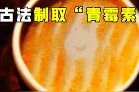 橘子+菜籽油=青霉素？古法制作青霉素，穿越必备技能 #知识科普视频封面