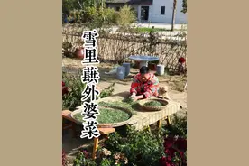 用雪里蕻做成的外婆菜你们吃过没有？香辣开胃超级下饭，大鱼大肉吃腻了的家人们一定要尝试一下！#乡村田园生活 #纯天然无添加 #湖北特色美食视频封面