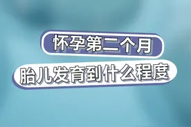 怀孕第二个月胎儿发育到什么程度！ #热点 #孕妈的不易每一位妈妈都是伟大的 #硬核健康科普dou来说 #孕早期保胎视频封面