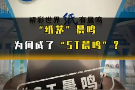 “纸茅”晨鸣为何成了“ST晨鸣”？ #晨鸣纸业 #A股 #财经视频封面