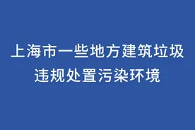典型案例 | 上海市一些地方建筑垃圾违规处置污染环境视频封面