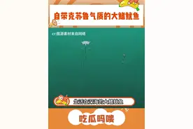 神秘的大鳍鱿鱼#神秘 #万万想不到 #鱿鱼视频封面