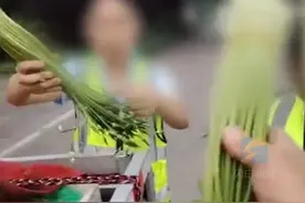 7月9日报道，司机拉蔬菜被收28元过路费引发争吵，这到底是韭菜花还是蒜薹？高速路公司：蒜薹在免费目录里，韭菜花不在。#震惊
