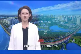 防城港市委书记黄江作典型发言 | #2025年全区年中工作会议暨三季度经济发展调度会在南宁举行