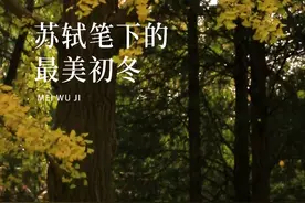 苏轼写初冬最美的一首诗，治愈寒冷，结尾14字，最适合冬天发朋友圈。#立冬 #初冬 #苏轼视频封面
