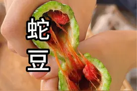 蛇豆炒肉 一种长得像蛇，吃起来像黄瓜的豆子它来了！#美食教程