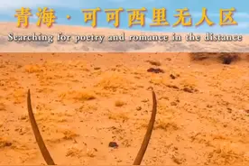 可可西里无人区到底有多可怕 为什么被称为生命的禁区？#可可西里无人区  #可可西里自然保护区 #青海视频封面