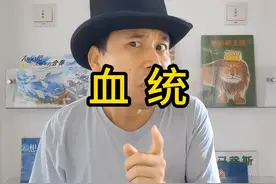 你们在乎自己的血统吗？ #血统 #贵族 #英国 #中国 #历史视频封面