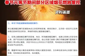 海口发布通告：2025年1月28日0时起至2月12日24时，春节元宵节期间部分区域烟花燃放管控。视频封面