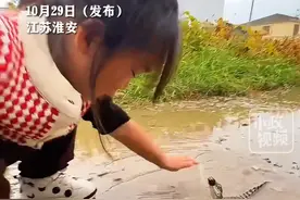 10月29日（发布），江苏淮安。3岁重孙女带着宠物探望太奶，把太奶吓得拍腿直叫，腿脚瞬间灵活不少，小孩子却乐在其中。关注👉@小政视频 #江苏dou知道  #抖音小助手  #萌娃#金蟾蛤蟆头 #人类幼崽 （来源：@晗君 ）视频封面