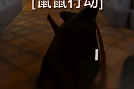 "CS鼠鼠占领下水道" #CSGO #CS2视频封面