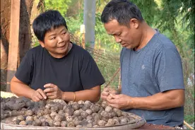 李二哥家核桃熟了，全是以前的老品种，打一些回家晒着吃味道真不错#三农 #乡村生活 #核桃视频封面