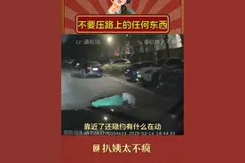 不要压路上的任何东西 #交通安全 #万万没想到 #人性 #内容启发搜索视频封面